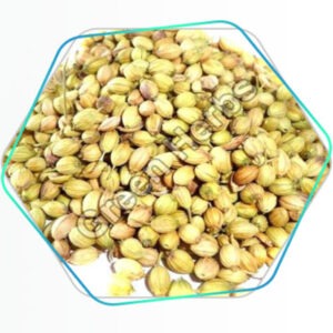 Coriander Seeds