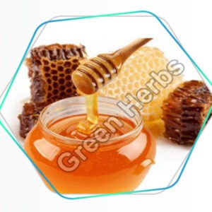 Forest
                                            Honey