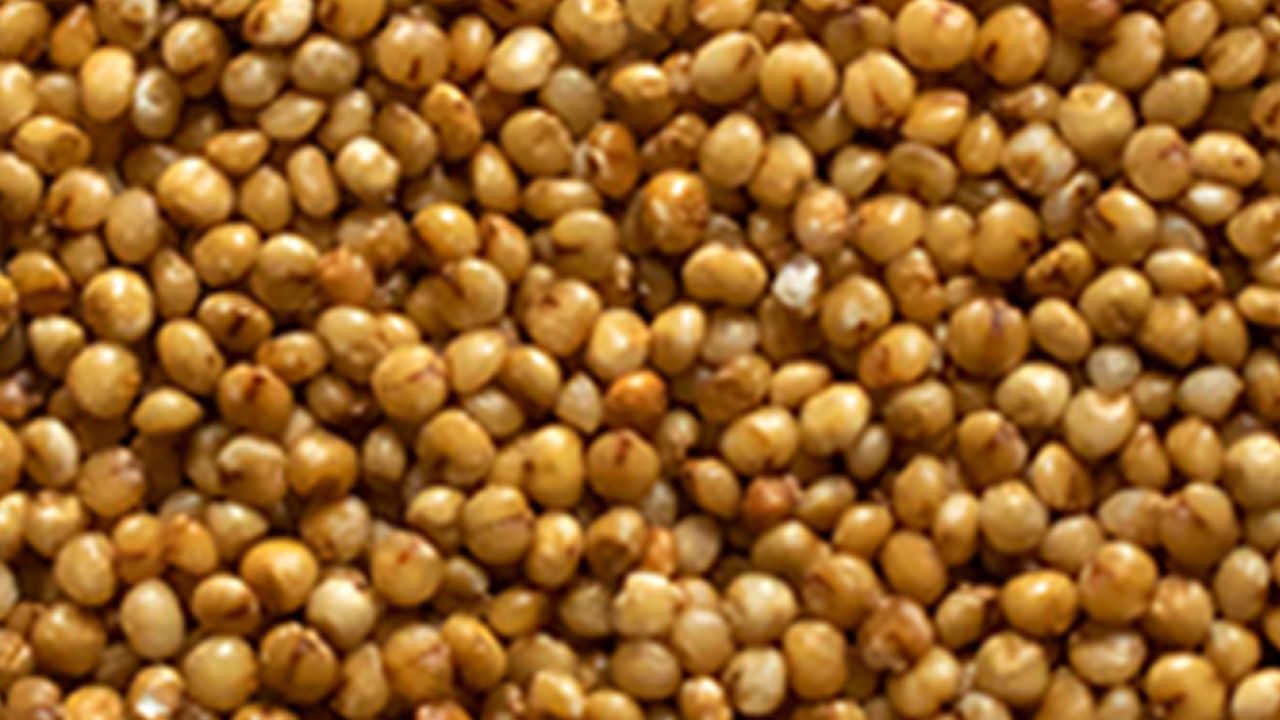 Picture of KODO Millet