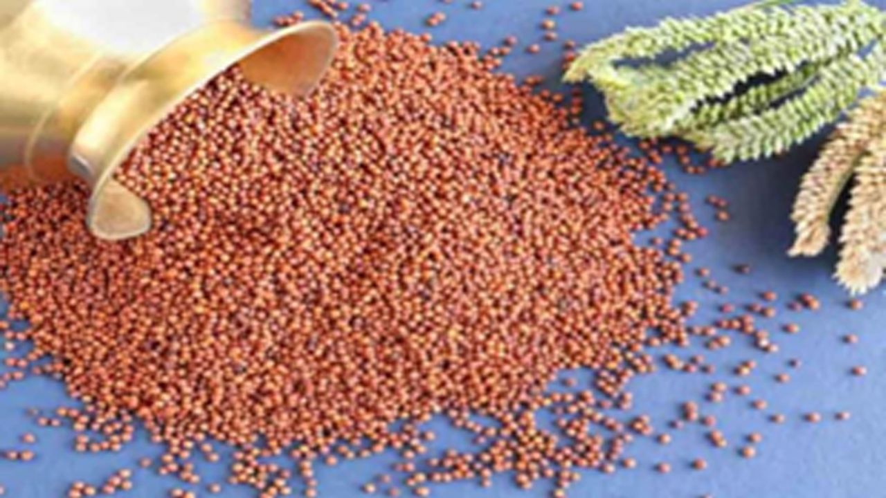 Picture of Mdua [Ragi] Millet Flour